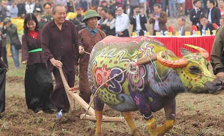 Phó Thủ tướng Thường trực xuống đồng cày Tịch điền
